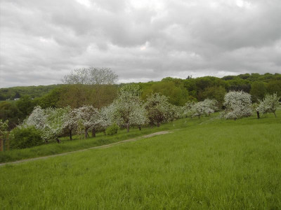 PICT2082.JPG