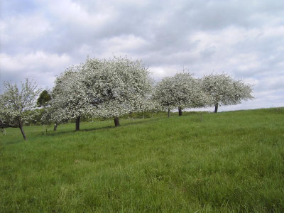 PICT2077.JPG
