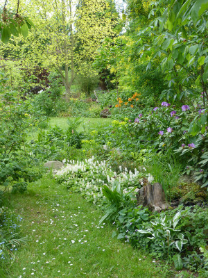 2018-05-09 Garteneinblick 1.jpg
