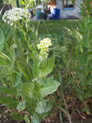 20180509_180153.jpg