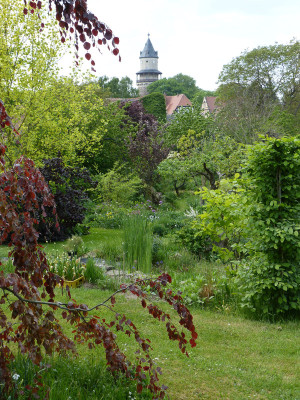 2018-05-09 Garteneinblick 4.jpg
