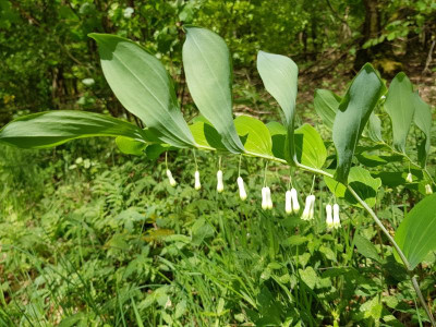 20180501_122722.jpg