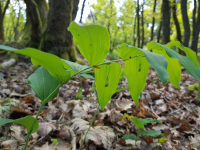 20180501_112645.jpg