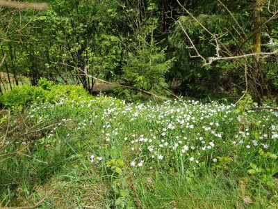 20180429_122417.jpg