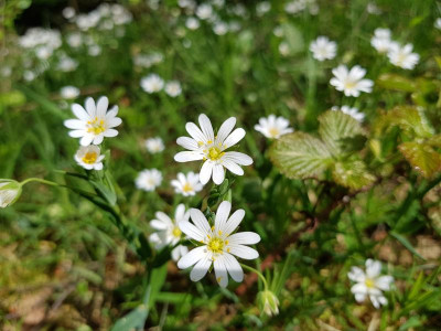 20180429_122422.jpg