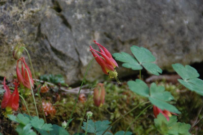 DSC_2577.JPG