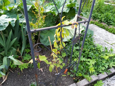 IMG_20180505_185948.jpg