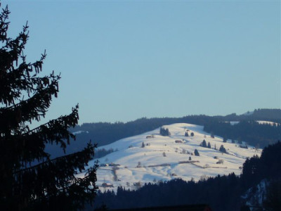 26.03.2007.1.JPG