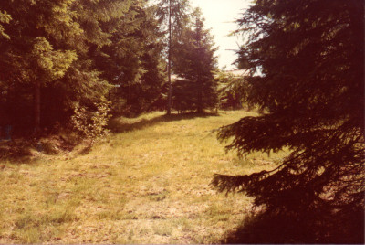 10533366_02.jpg