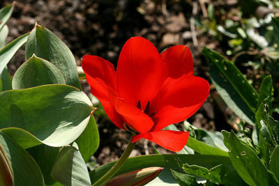 Tu_260307.jpg