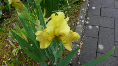 P1080007.JPG