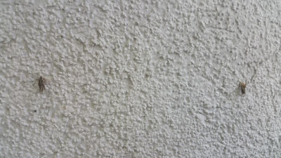20180511_092004.jpg