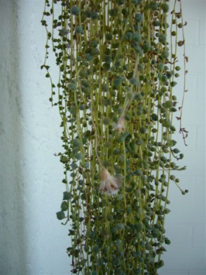 27.03.2007.3.JPG