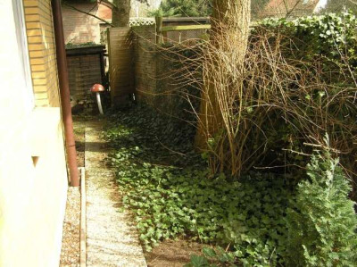 wegumshaus.jpg