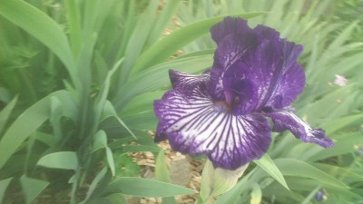 20180511_153927.jpg