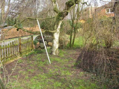 vorgarten6.jpg