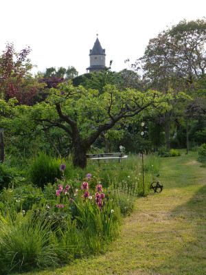 2018-05-11 Gartenimpressionen 1.jpg