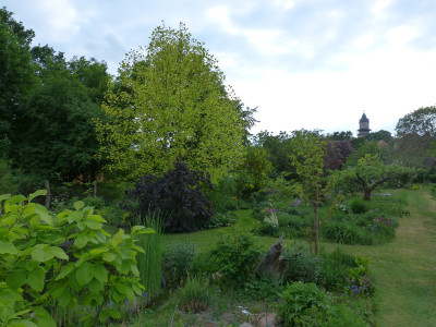 2018-05-11 Garteneinblick 2.jpg