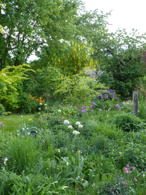 2018-05-11 Garteneinblick 3.jpg
