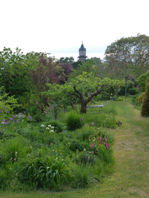 2018-05-11 Garteneinblick 4.jpg