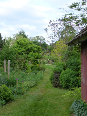 2018-05-11 Garteneinblick 5.jpg