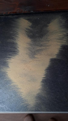 20180511_124434.jpg