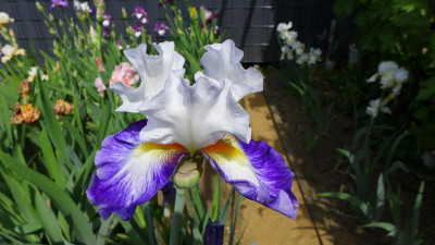 P1080056.JPG
