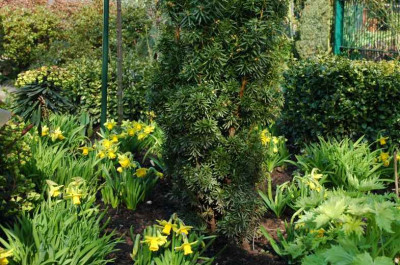 Gartenansichten_4_25-03-2007.jpg