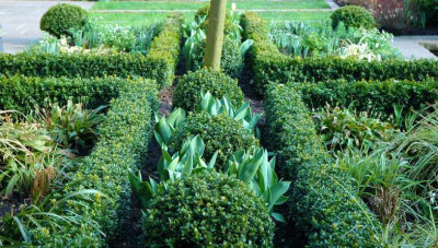 Gartenansichten_5_25-03-2007.jpg