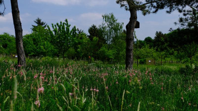 DSCF3242.JPG