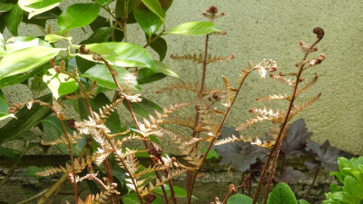 DSCN2890.JPG