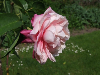 13.05.2018 14-29-20_0224.jpg
