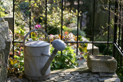 Garten-im-Licht-7-i.jpg