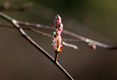 Garten-im-Licht-7j.jpg