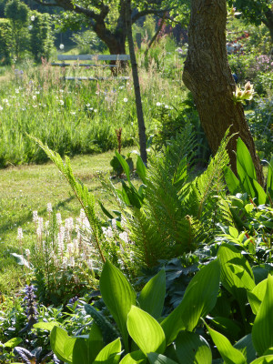 2018-05-13 Gartenimpressionen 1.jpg
