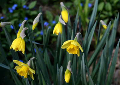 Garten-im-Licht-7-t.jpg