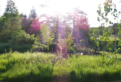 2018-05-13 Birkenhain.jpg