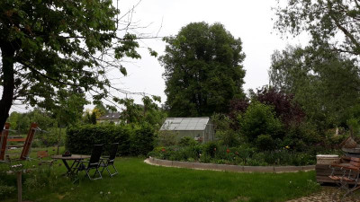 20180505_085628.jpg