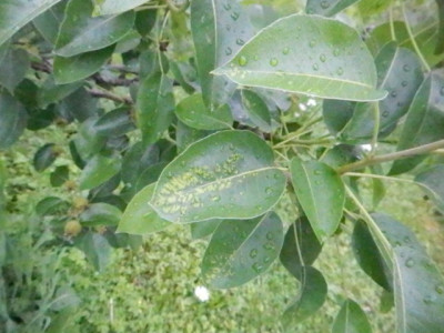 DSCN6572.JPG