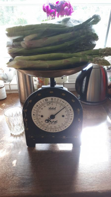 IMG-20180510-WA0009.jpeg