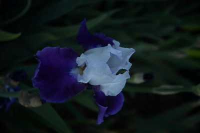 D3053 (Large).JPG