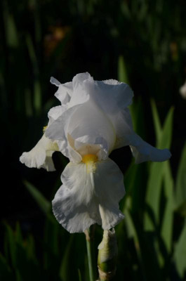D3066 (Large).JPG