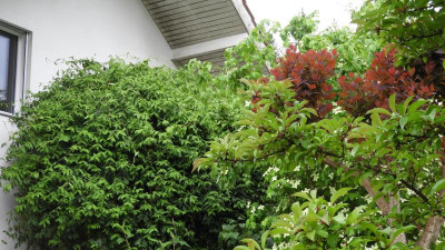 DSCN2941.JPG
