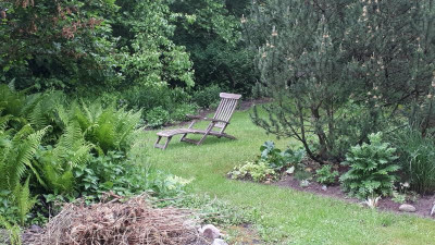 20180511_074249.jpg