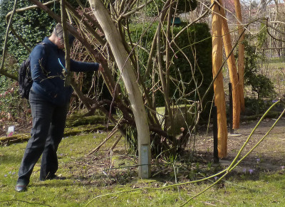 2018-03-10 Frühlingsblüte Saxdorf 17.jpg