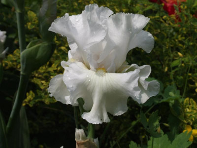 DSCF5267.JPG