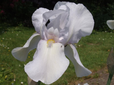 DSCF5273.JPG