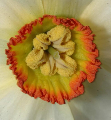 A2654a_Large.JPG