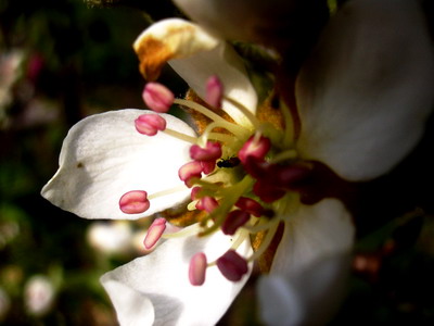 apr_022.jpg