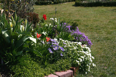 Garten21300307.jpg